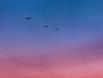 Coronavirus: Coping with Anxiety and Pain